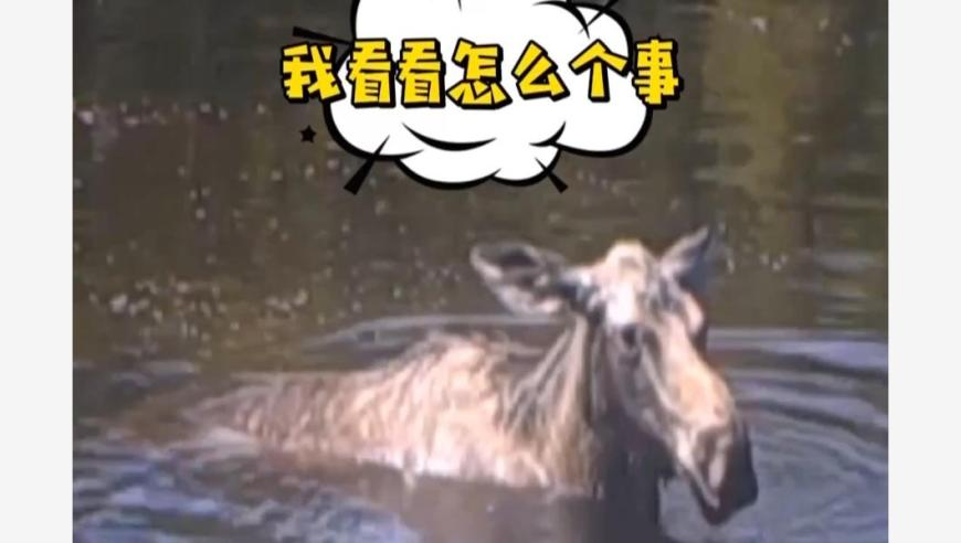 2025旧奥历史开奖记录,男子看完哪吒果断买股票赚4.6万,公开决策资料解释落实_尊享版V15.87